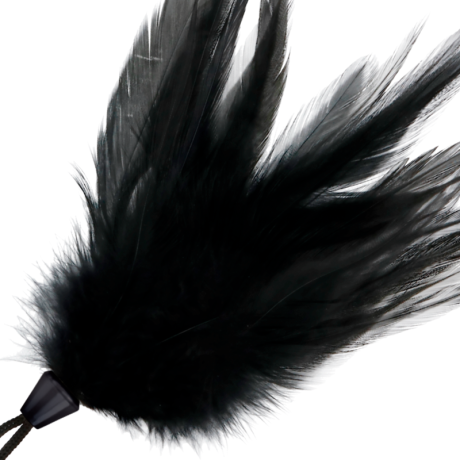 Höyhenkutitin - Black Feather, 17 cm - Darkness | DARKNESS SENSATIONS | Seksilelut