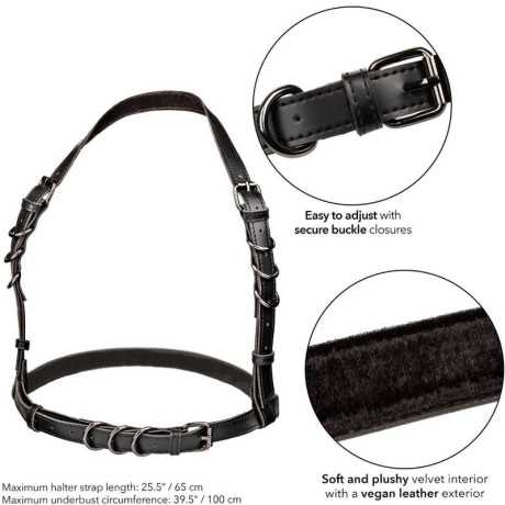 Halter Buckle Harness - Euphoria - Calex | CALIFORNIA EXOTICS | BDSM-vaatteet ja asusteet