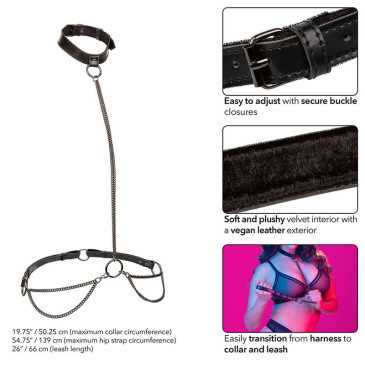 Chain Halter Collar, Euphoria - Calexotics | CALEXOTICS | BDSM & Bondage