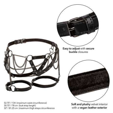 Reisivaljaat - Euphoria Plus Size - Calexotics | CALEXOTICS | BDSM & Bondage