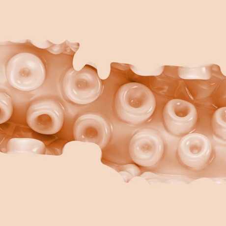 Fleshlight Anime - Sasha Nakamoto | FLESHLIGHT FANTASY | Seksilelut