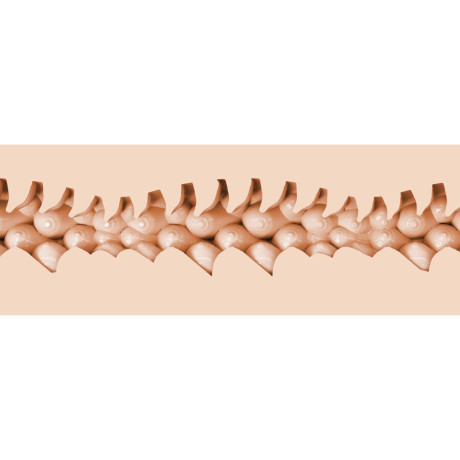 Fleshlight - Anime - Evie Akashiya | FLESHLIGHT FANTASY | Seksilelut